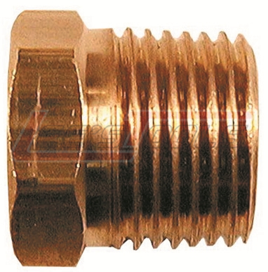 P004
